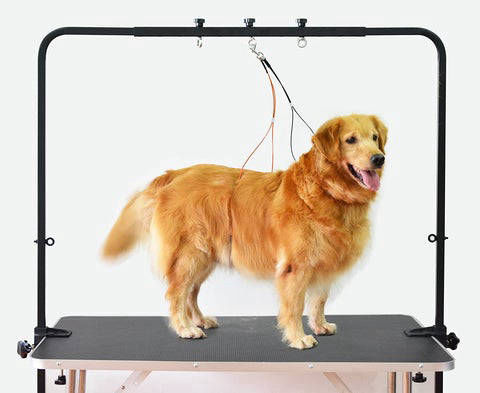 OVERHEAD PET GROOMING ARM